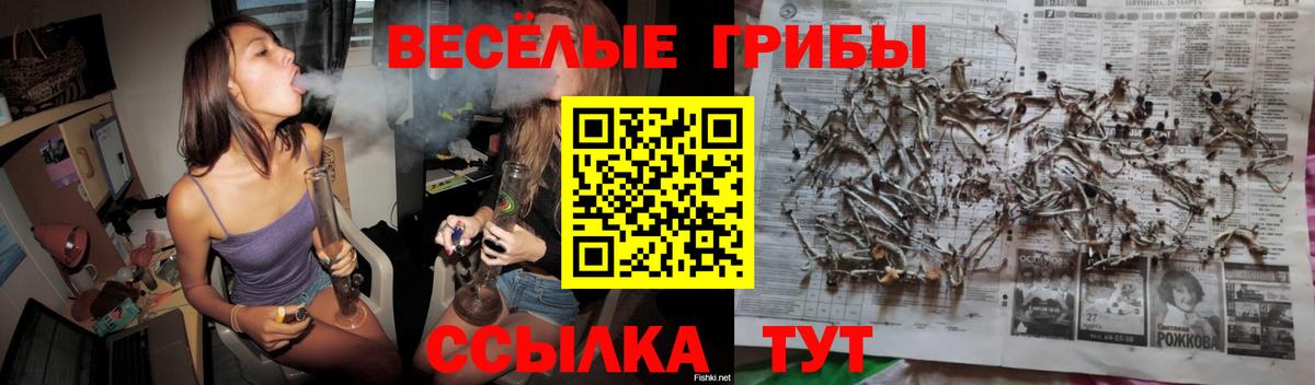 Королёв  Галлюциногенные грибы Magic Shrooms  Вход с VPN 